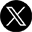 X Icon